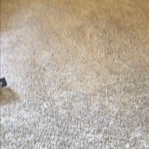 Meet your Posher, Darius